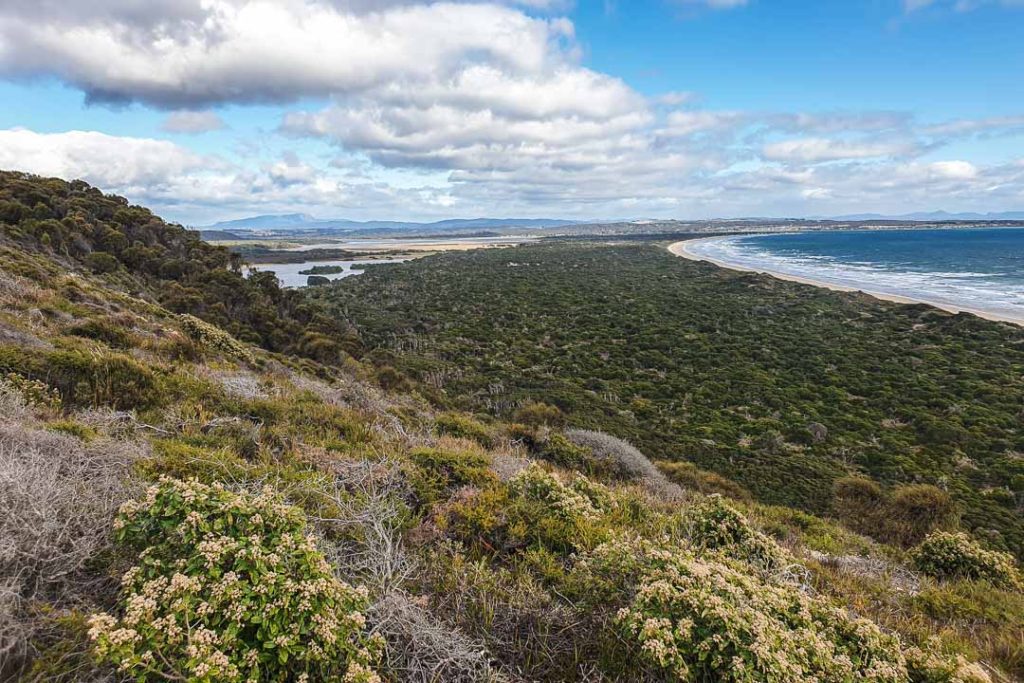 Archers Knob Narawntapu Tasmania