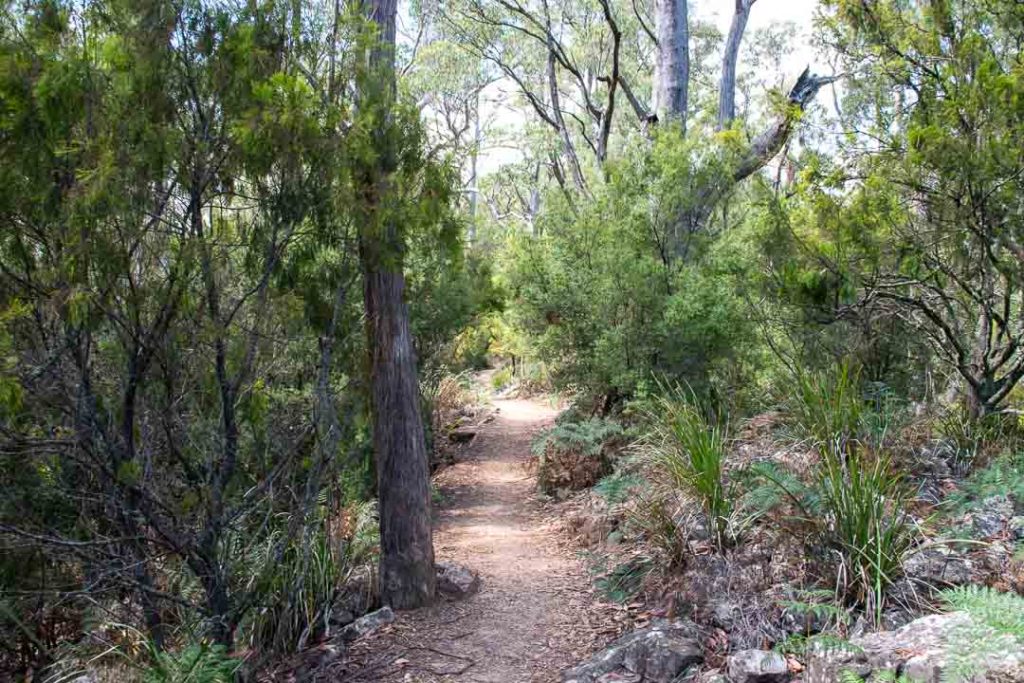 Alum Cliffs, Tasmania Walks