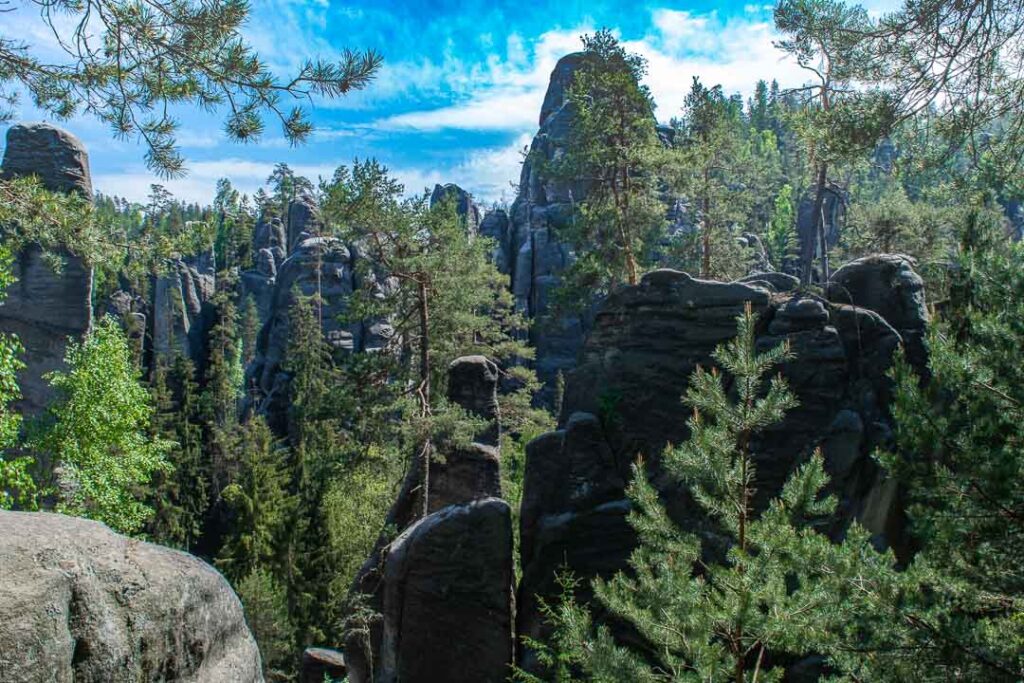 Treetop Views, Adrspach Teplice Rocks Czech Republic