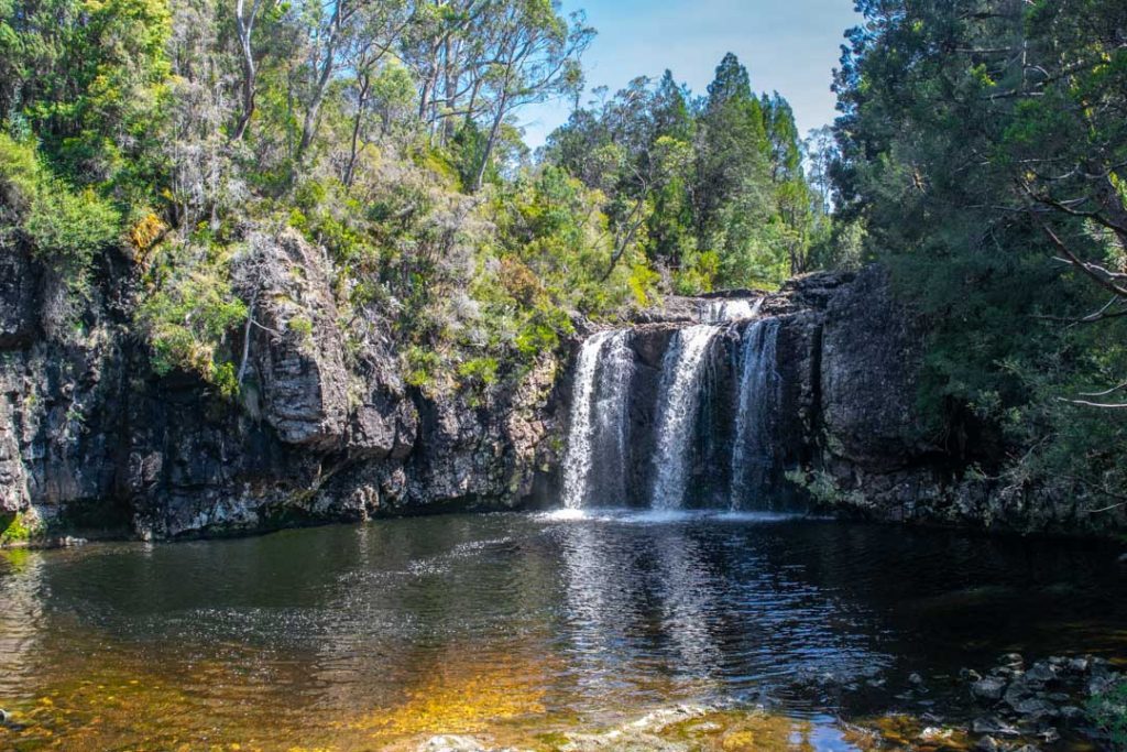 Pencil Pine Falls, Waterfalls in North Tasmania