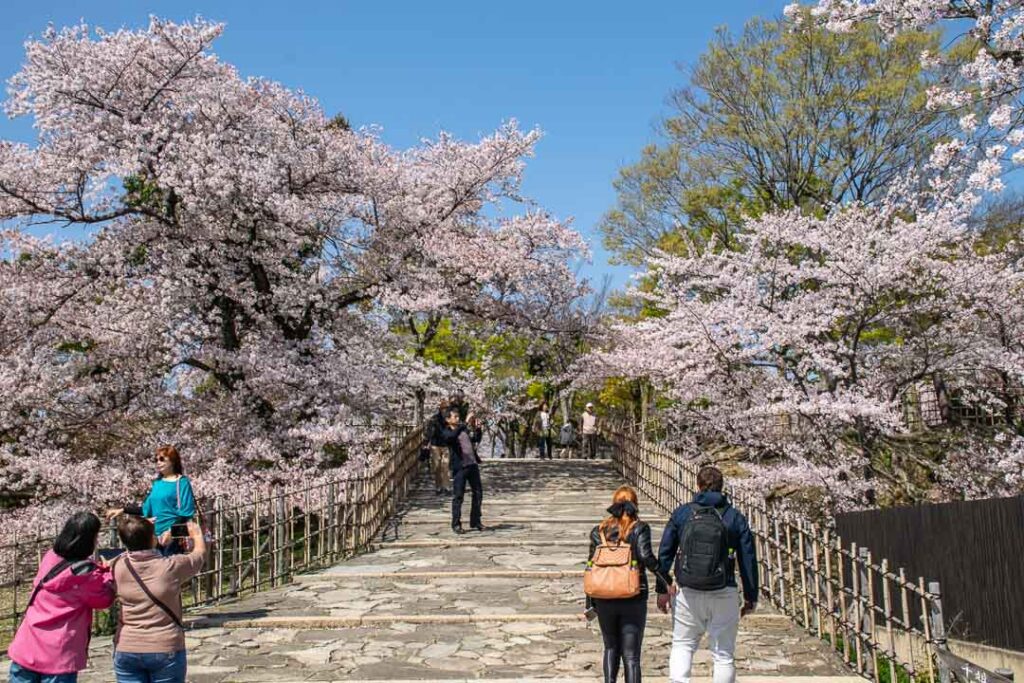 Visiting Himeji