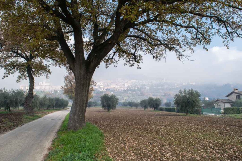 Umbria Countryside