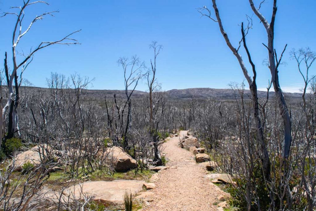 Devil's Gullet Walking Track