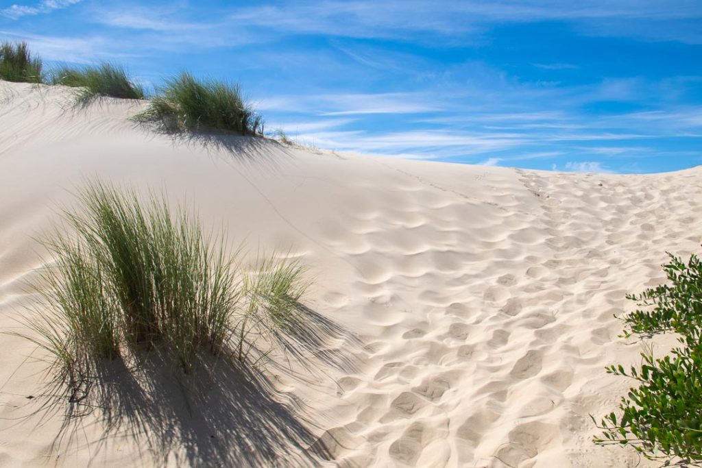 Peron Dunes Tasmania