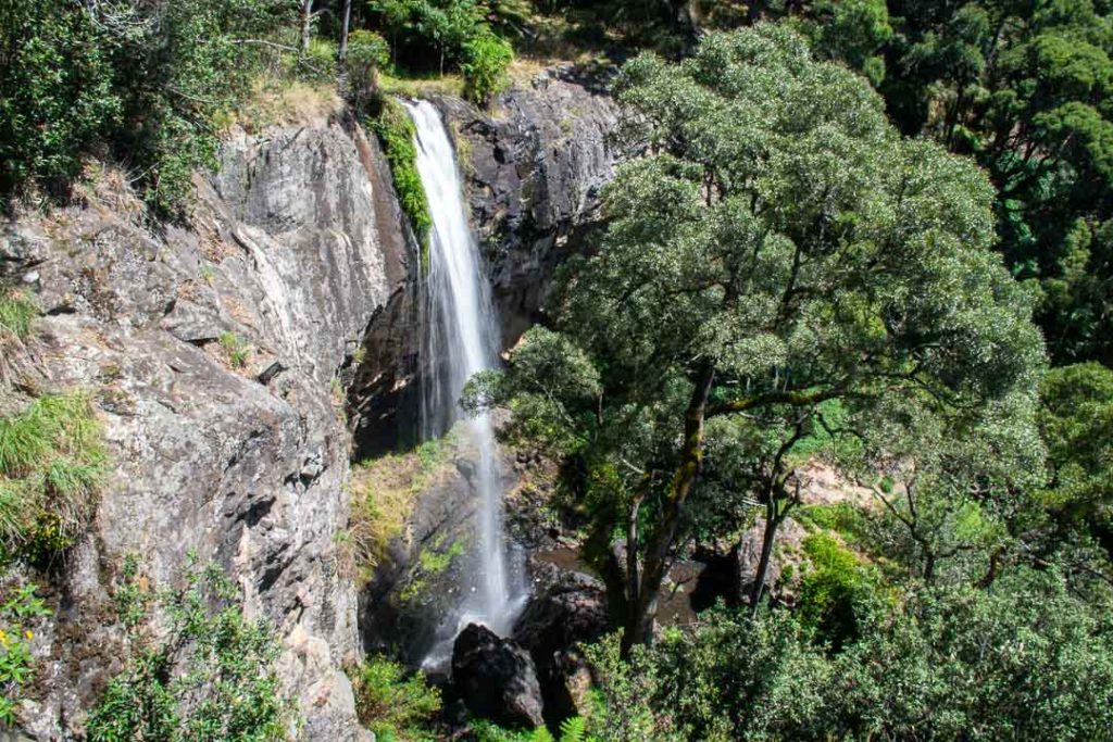 Preston Falls, Waterfalls of Tasmania