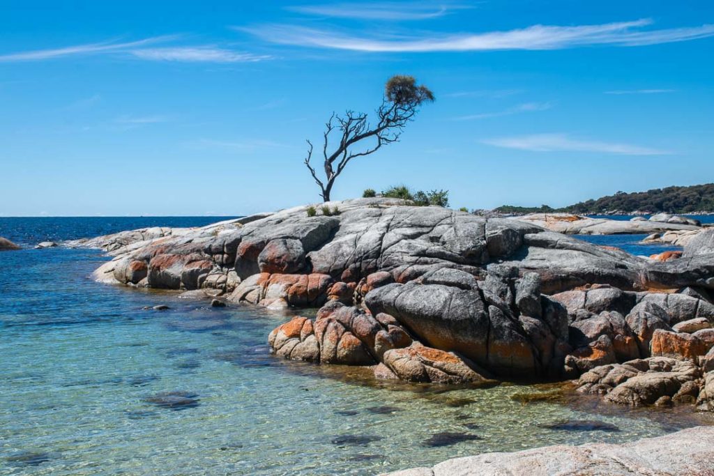 Lone Tree Binalong Bay