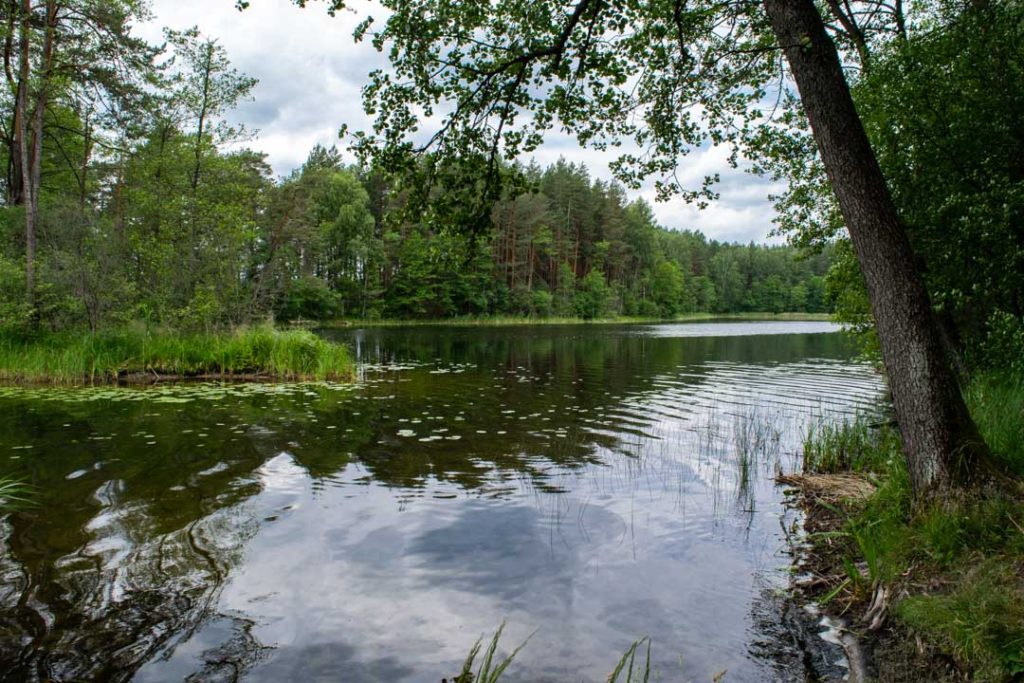 Aukštaitija Lakes, Aukštaitija National Park