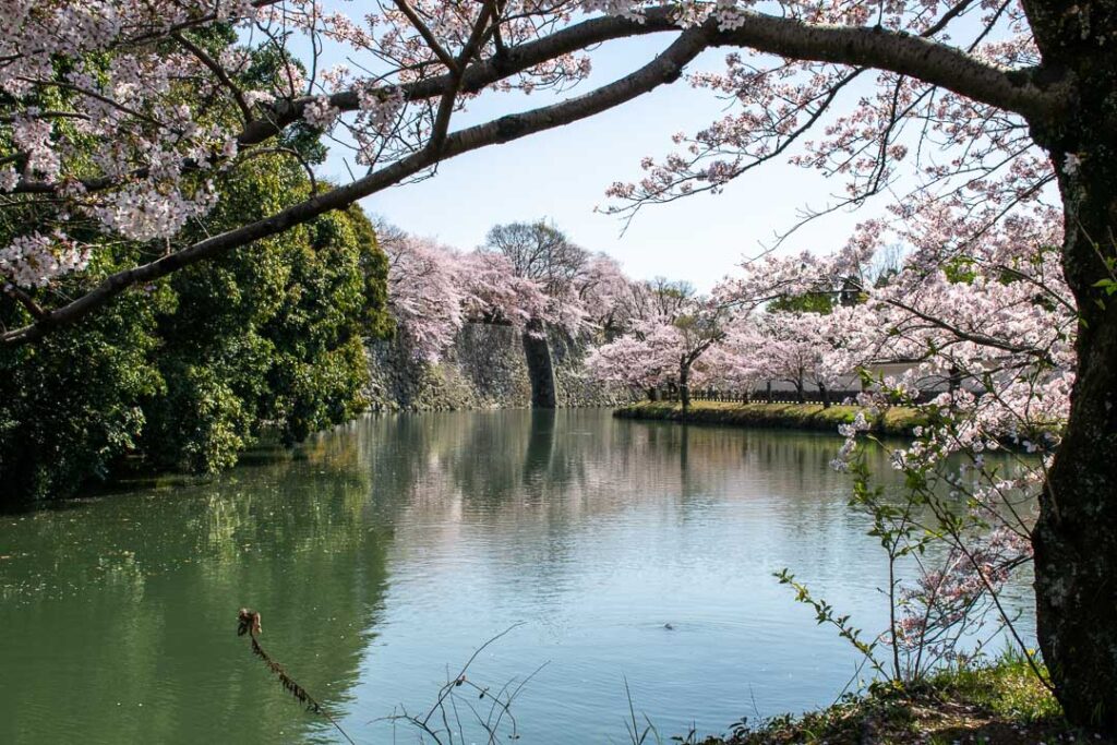 Himeji Castle Moat