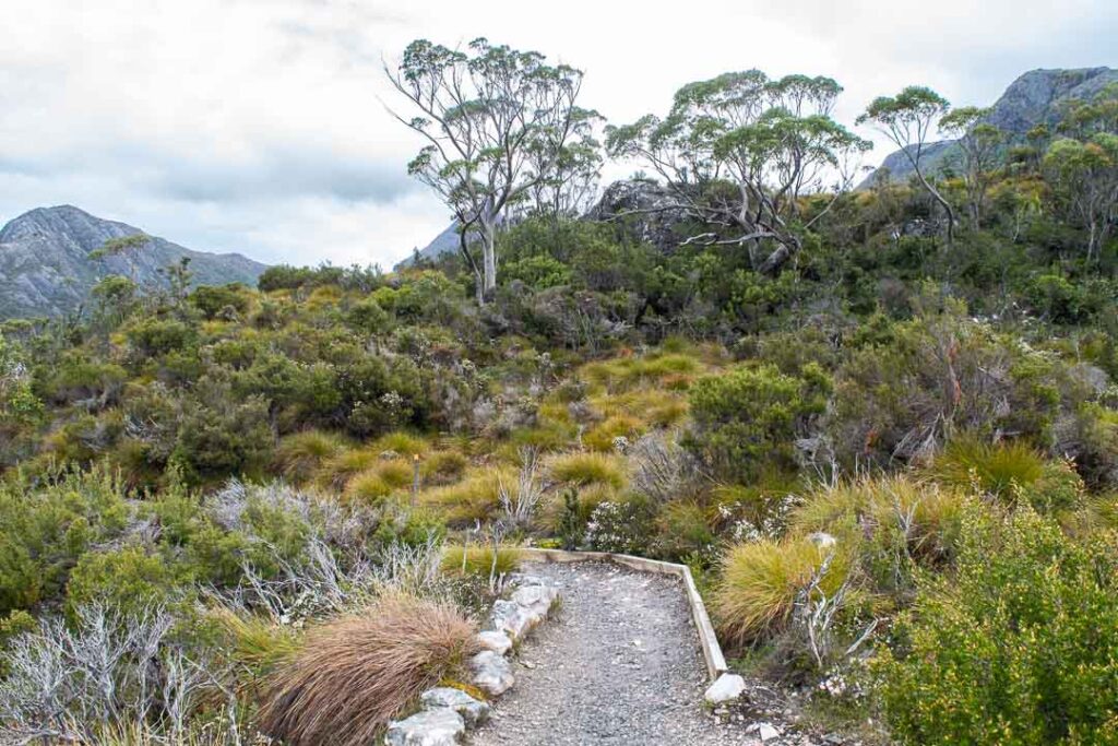 Dove Lake Circuit, Cradle Mountain