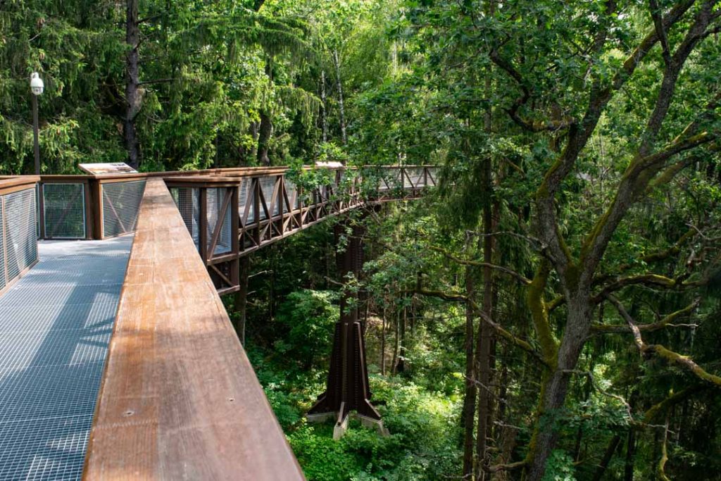 In the Trees, Sightseeing Anyksciai Lithuania