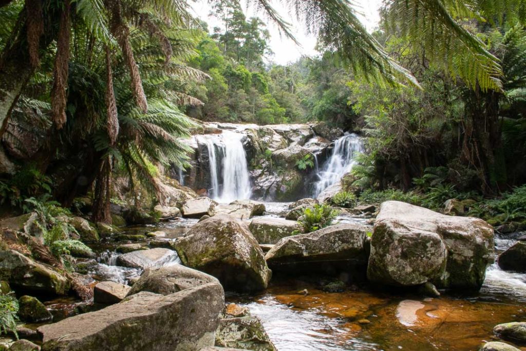 Halls Falls, Best Waterfalls in Tasmania