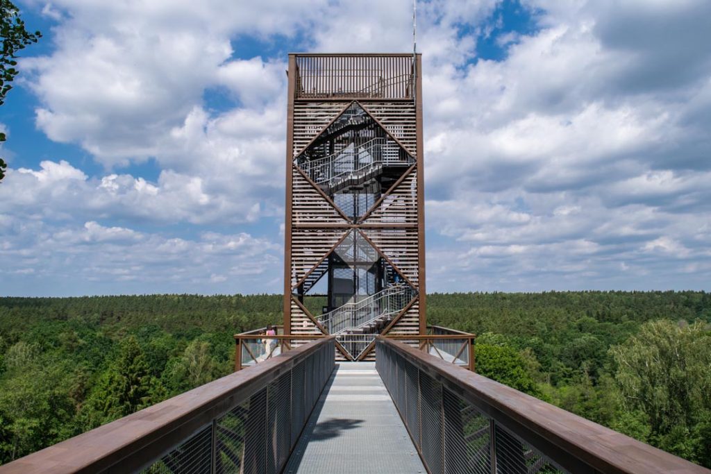 Treetop Walking Path, Visiting Anyksciai Lithuania