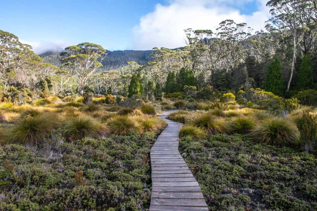 Lake St Clair Tasmania