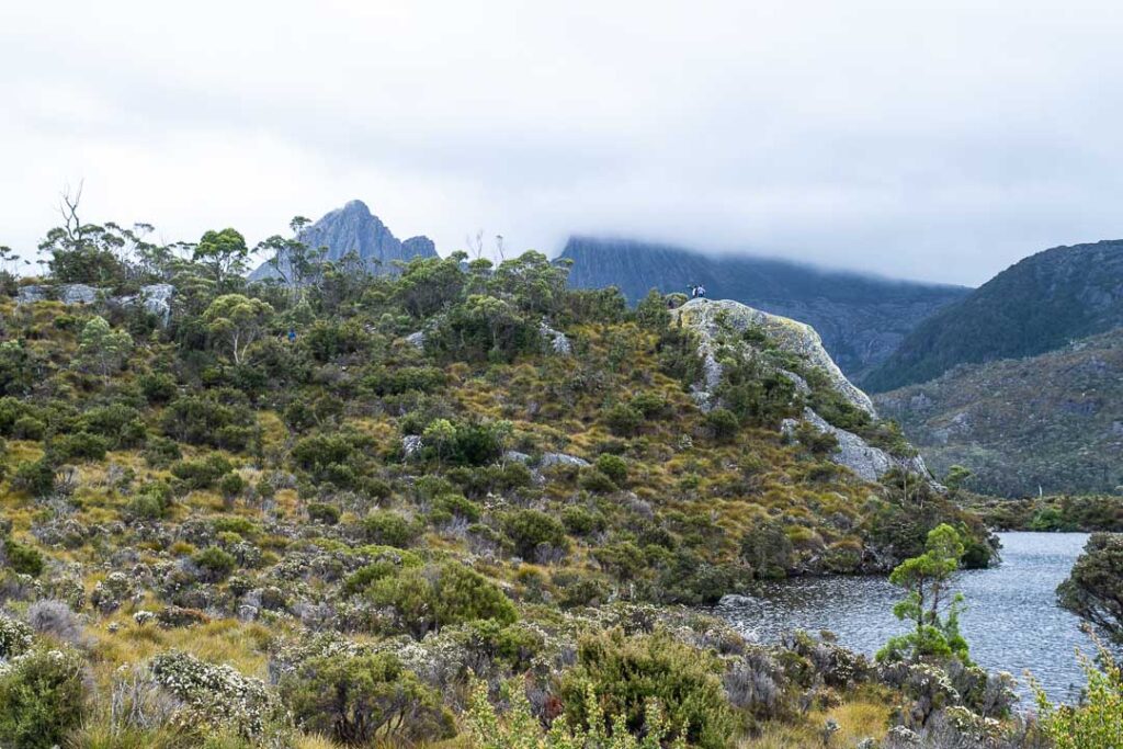 Glacier Rock Cradle Mountain