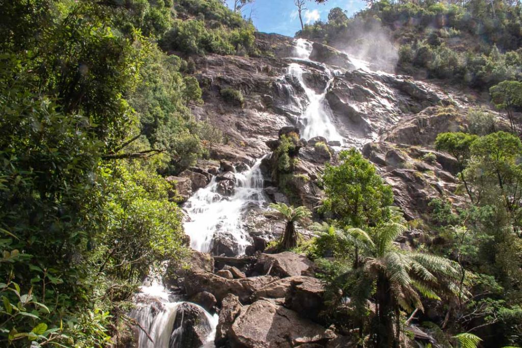 St Columba Falls, Tasmania Waterfalls