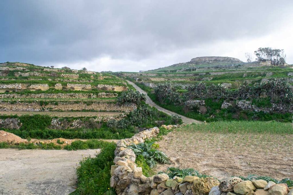 Gozo Country Road, Hikes on Gozo