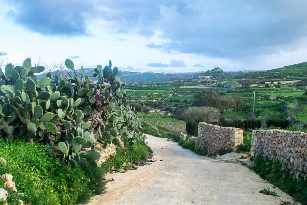 Zebbug Valley