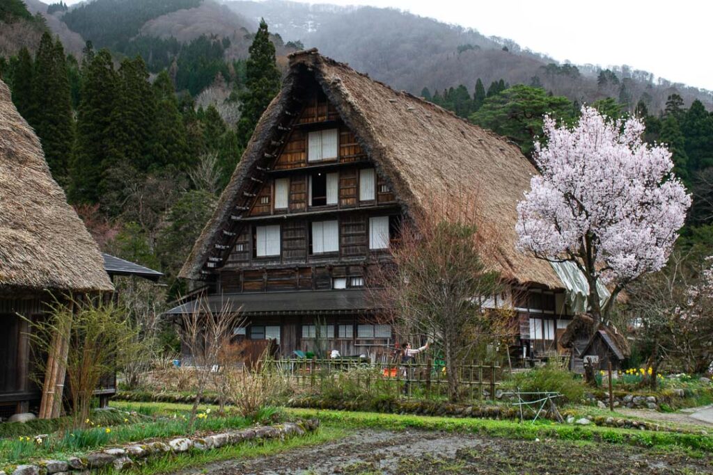 Shirakawa-go day trip