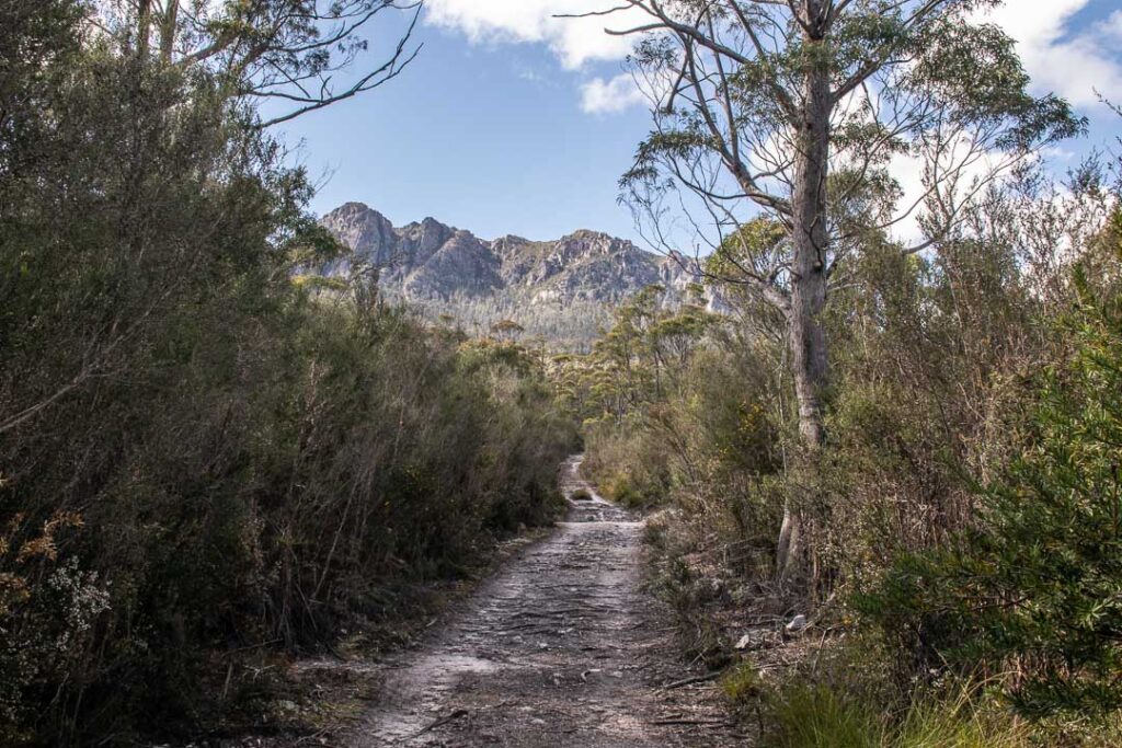 Mount Roland Track O'Neill's Road