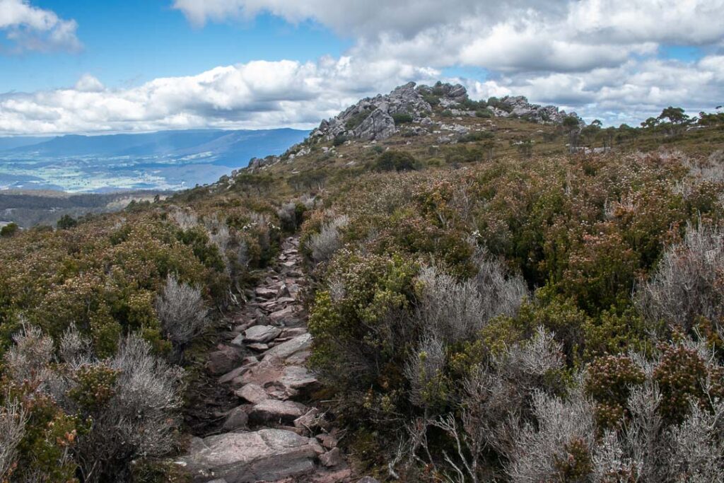 Tasmania Mount Roland Hiking