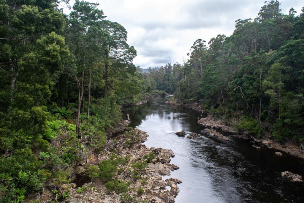 Tarkine National Park