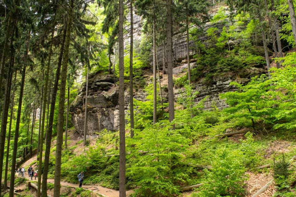 Hiking Trail Bohemian Switzerland National Park