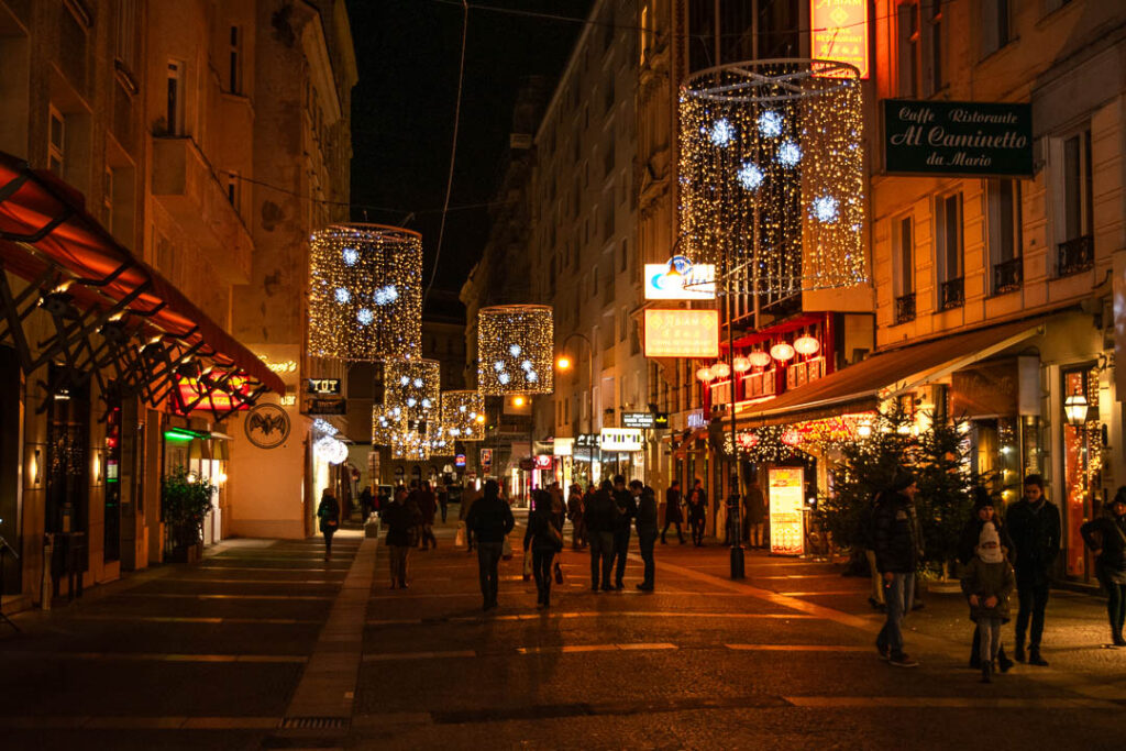 Vienna Christmas Lights