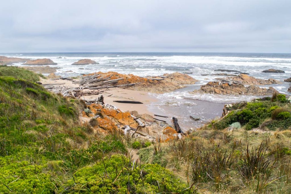 Visiting Edge of the World Tasmania