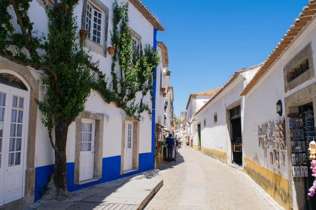 Obidos Cobblestone