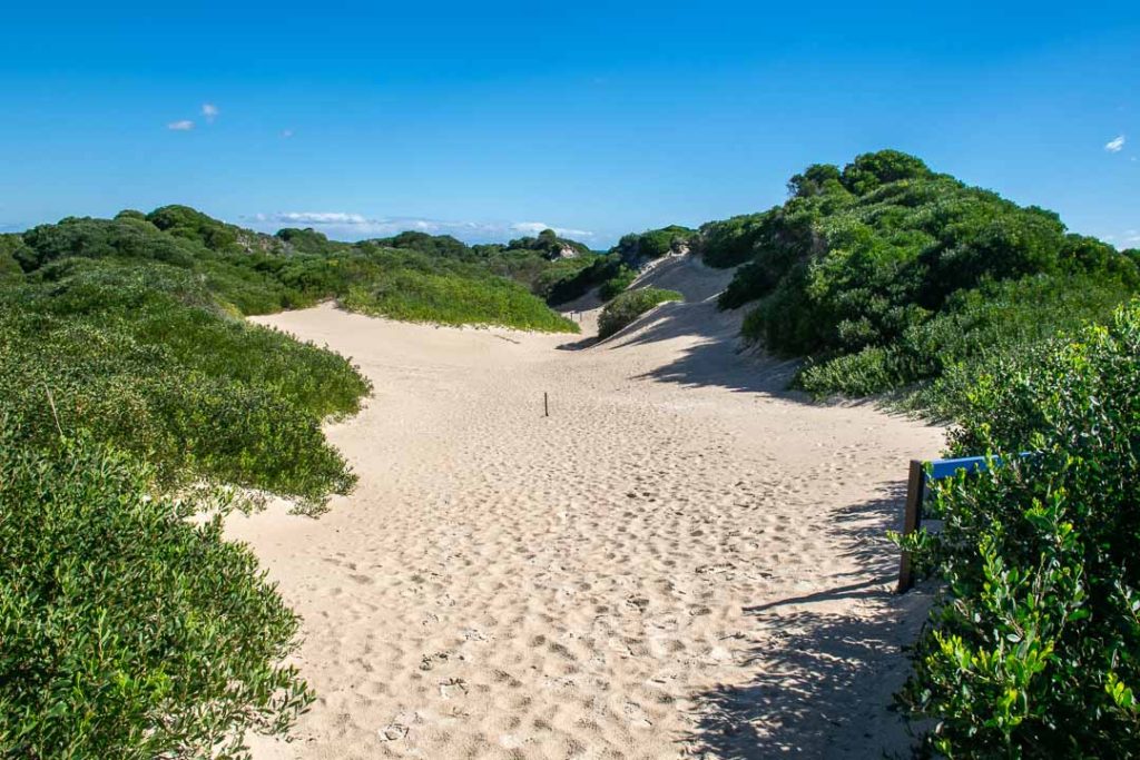 Bakers Beach Tasmania