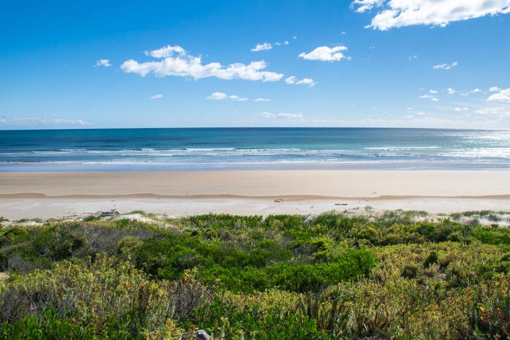 Bakers Beach Tasmania