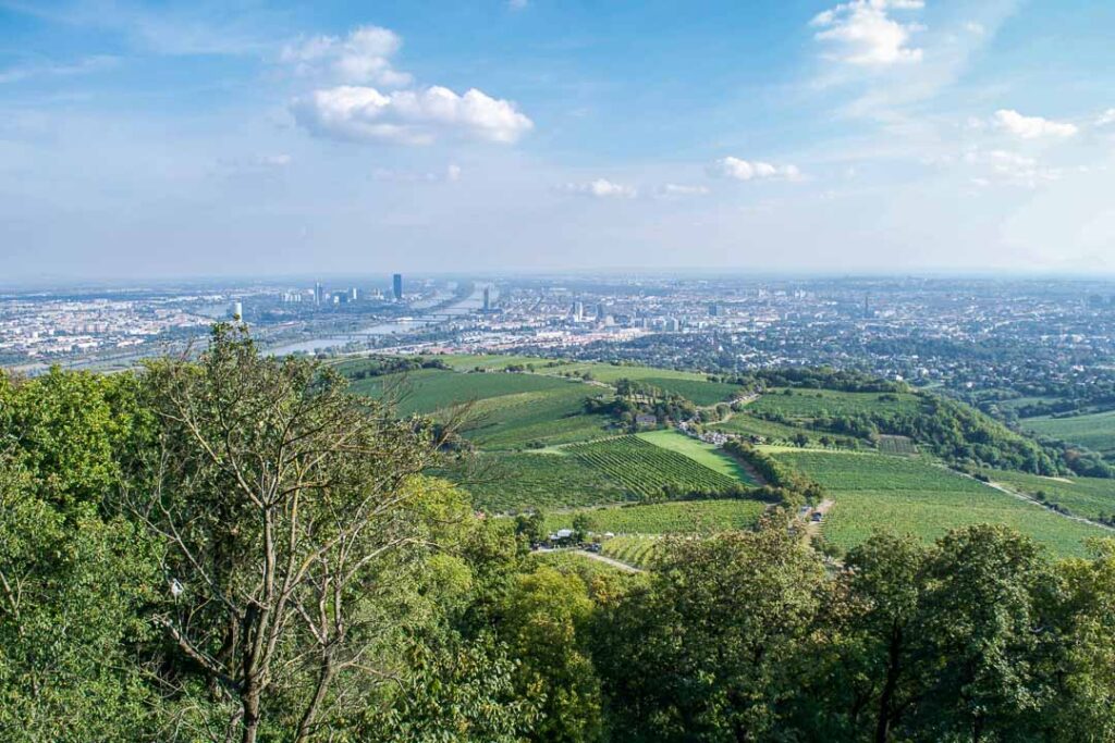 Kahlenberg View