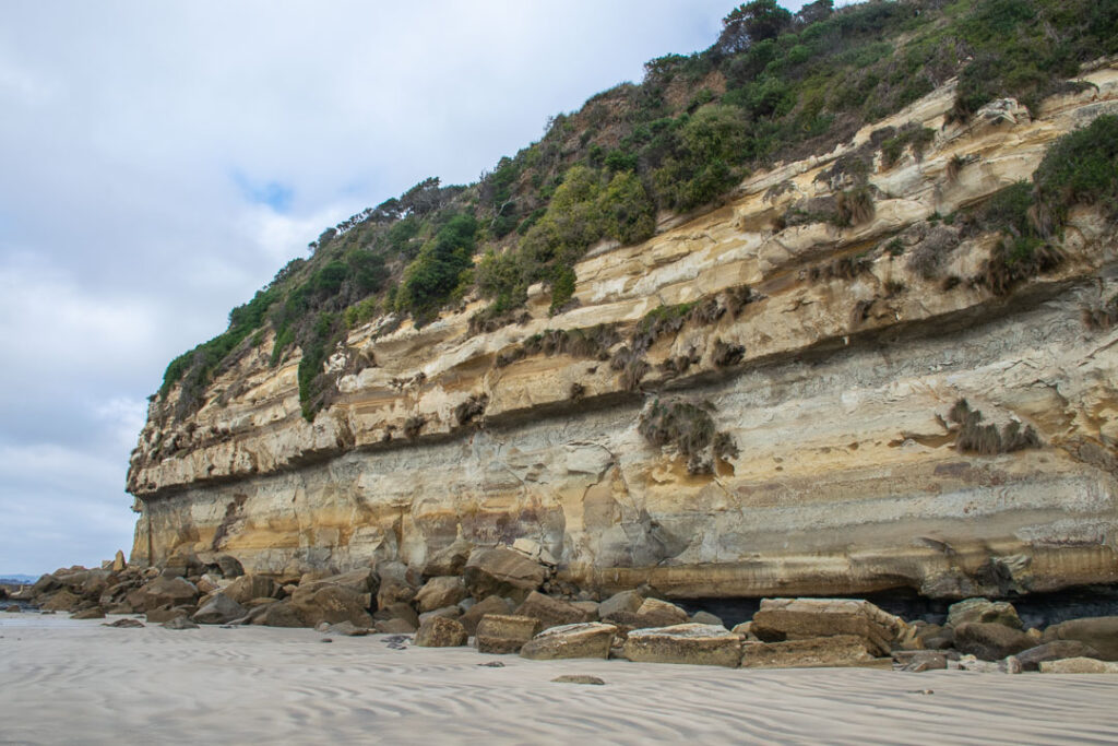 Fossil Bluff Beach