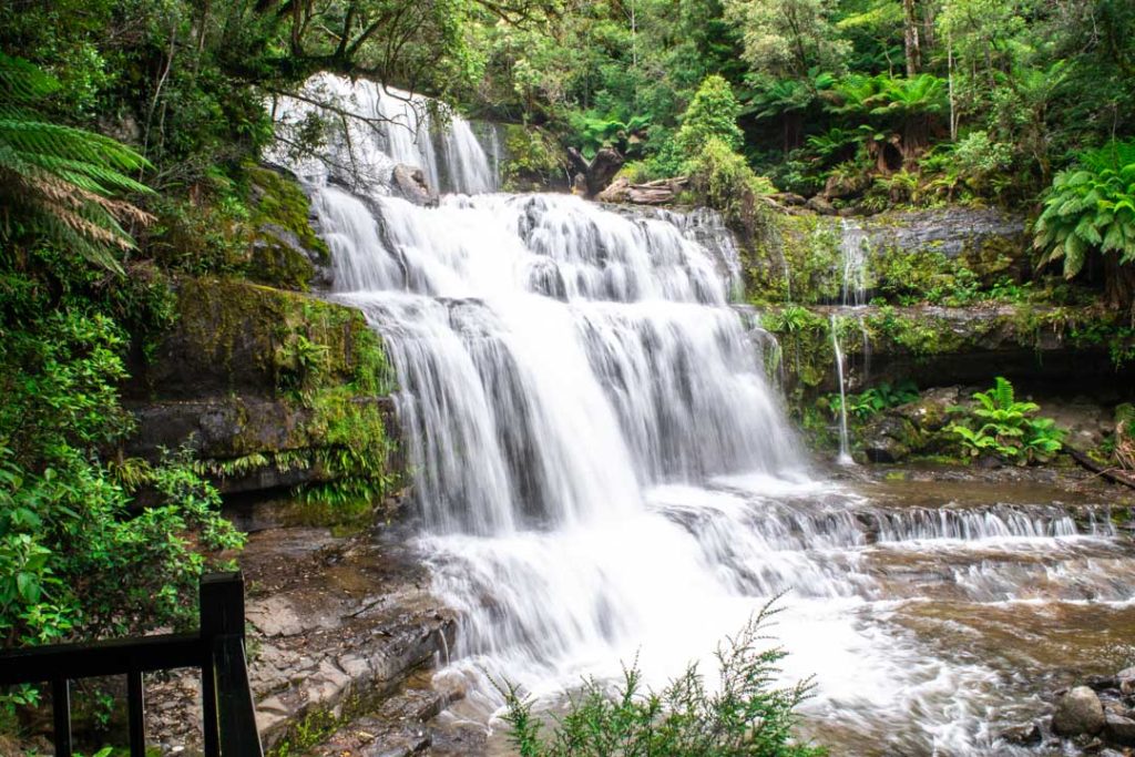 Liffey Falls, Best Day Trips in Tasmania