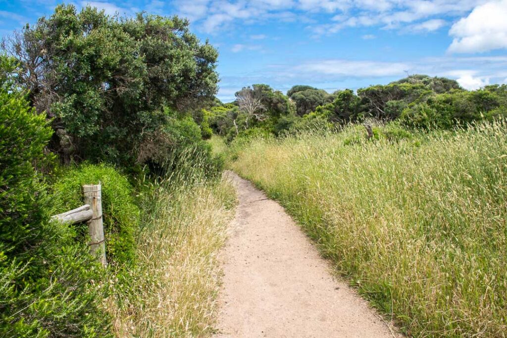 Two Bays Walking Track