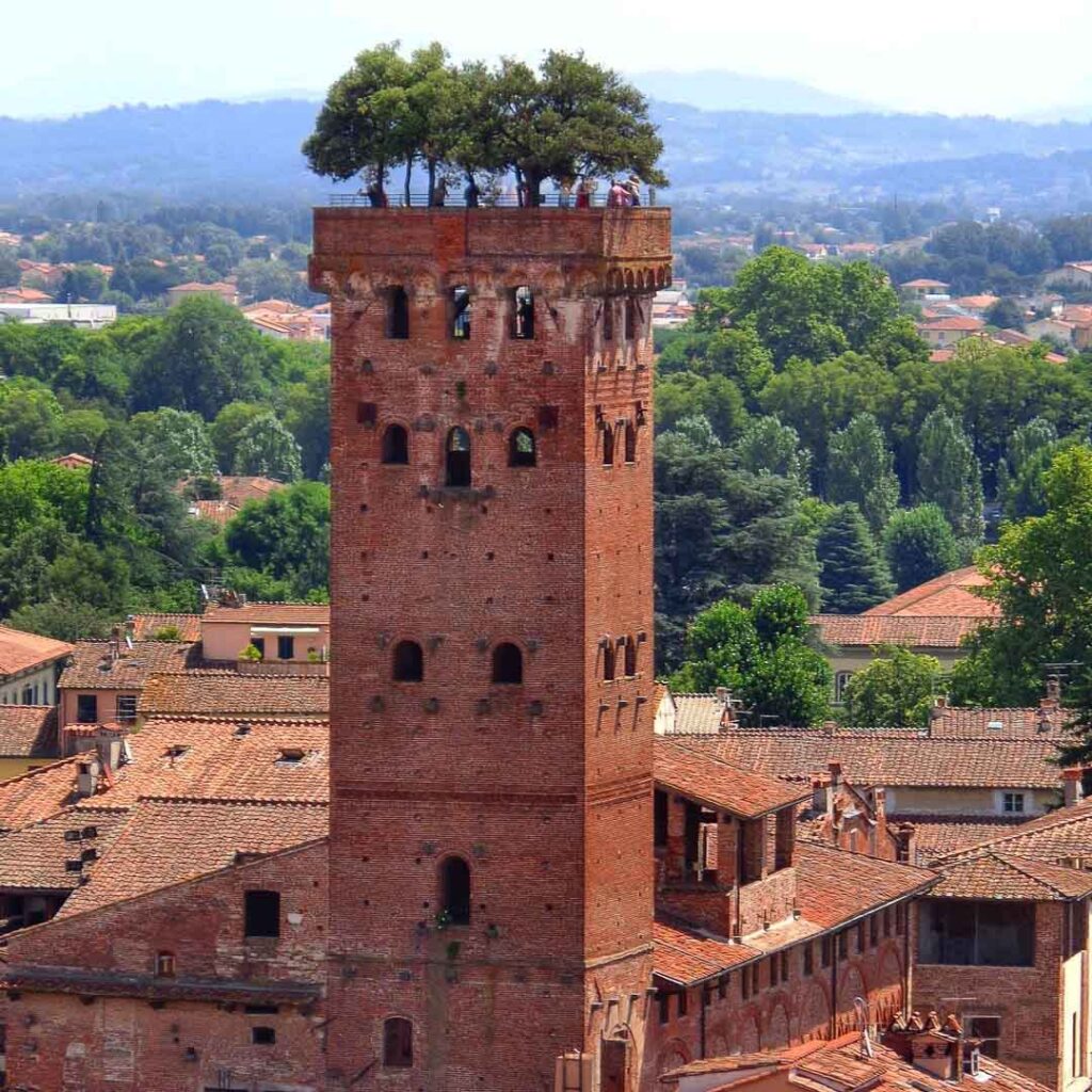 Guinigi Tower, Lucca